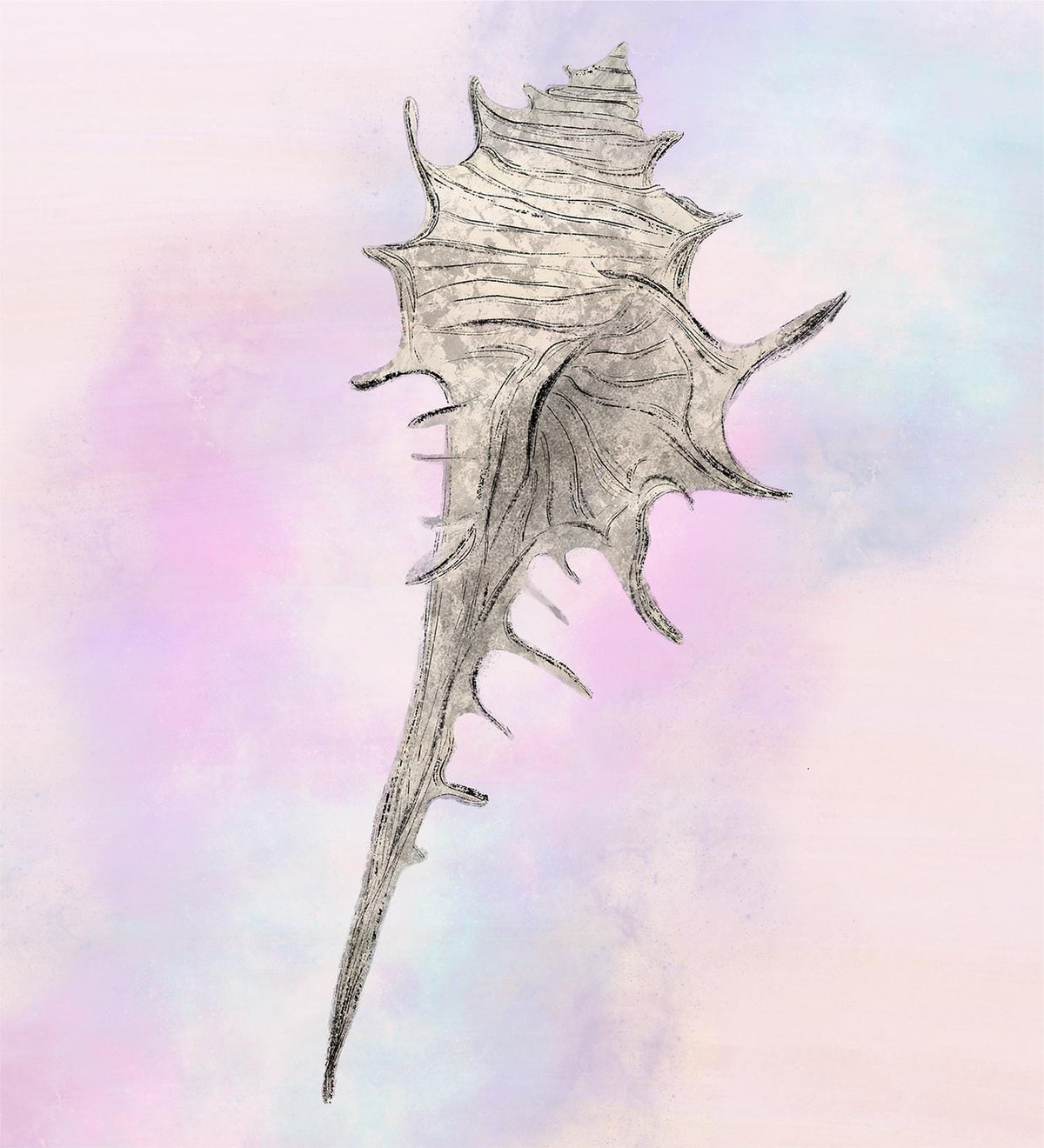 Seashell line art wall art print, murex shell drawing