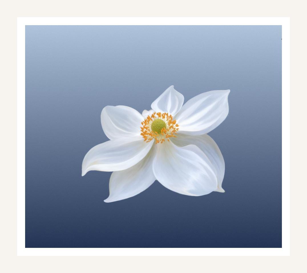 White Anemone wall art print, elegant flower on dusty blue