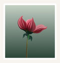 Red Flower Bud wall art print, opening bloom on sage green