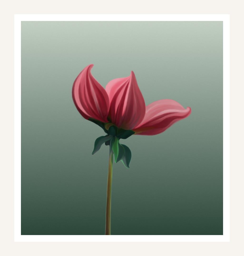 Red Flower Bud wall art print, opening bloom on sage green