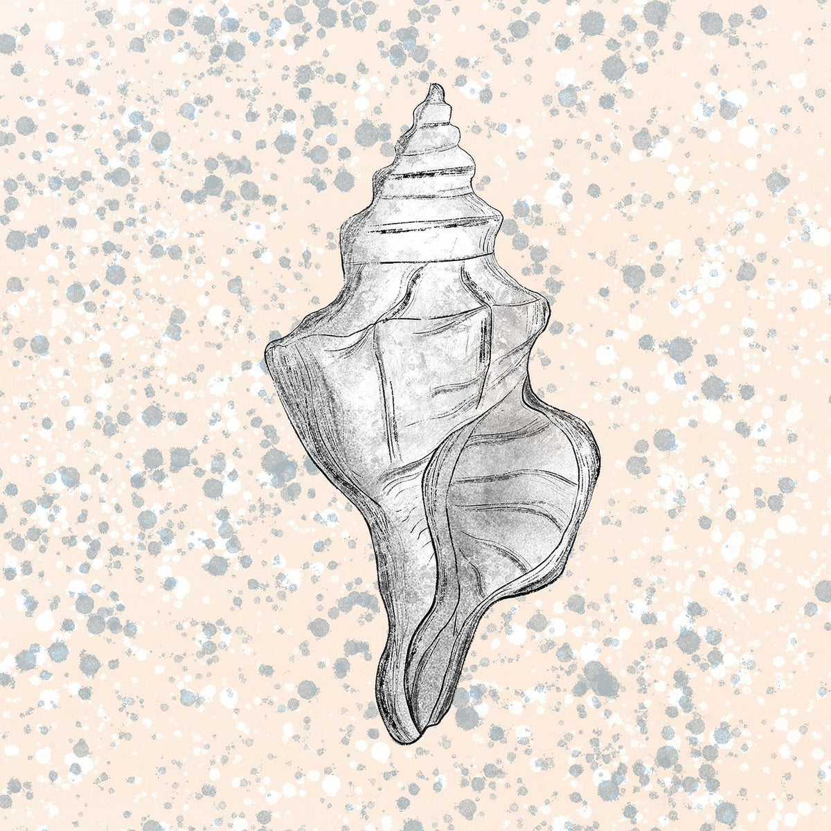 Conch Shell wall art print, square coastal line drawing