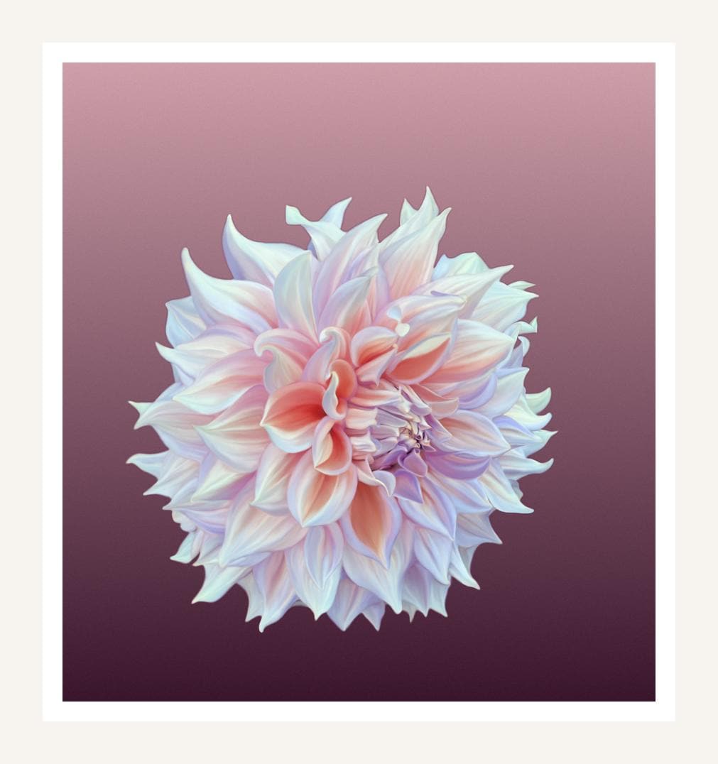 Cream Dahlia wall art print, pastel flower on wine plum