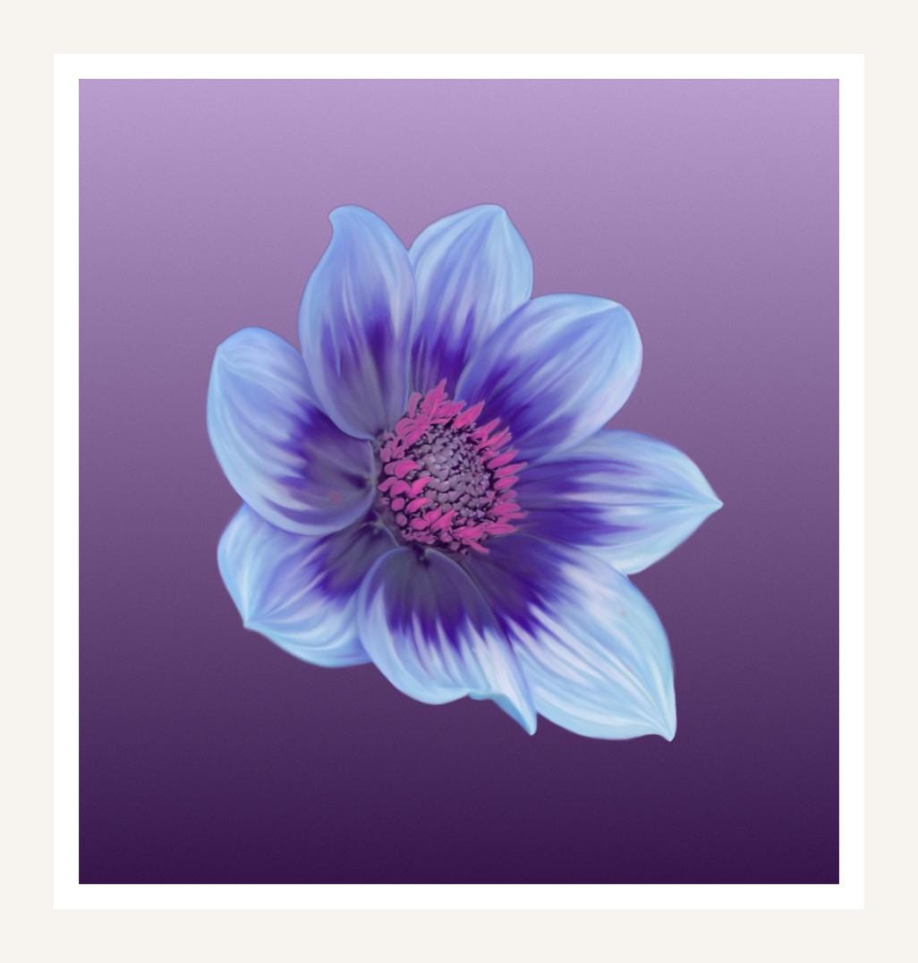 Blue Dahlia wall art print, violet flower on royal purple